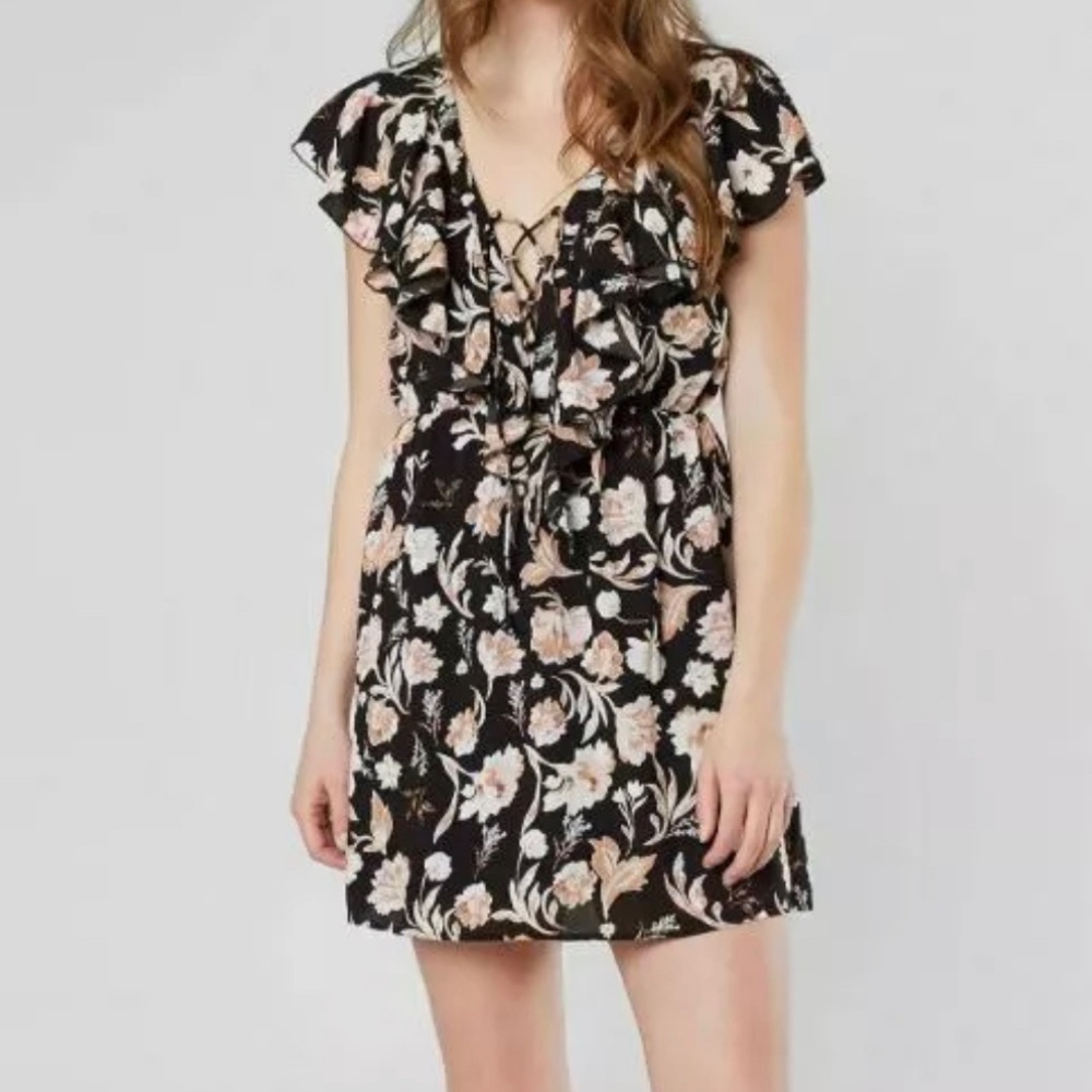 Amuse Society M Floral Dress